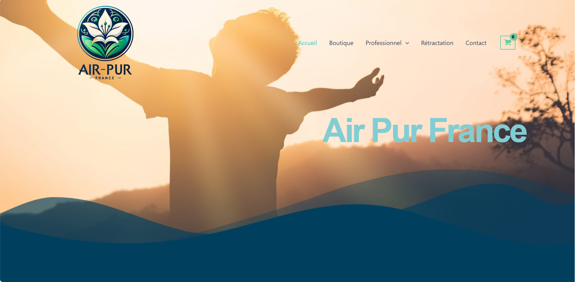 airpurfrance